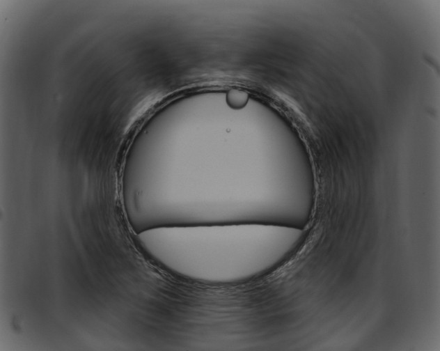 X0000097611267200802290747