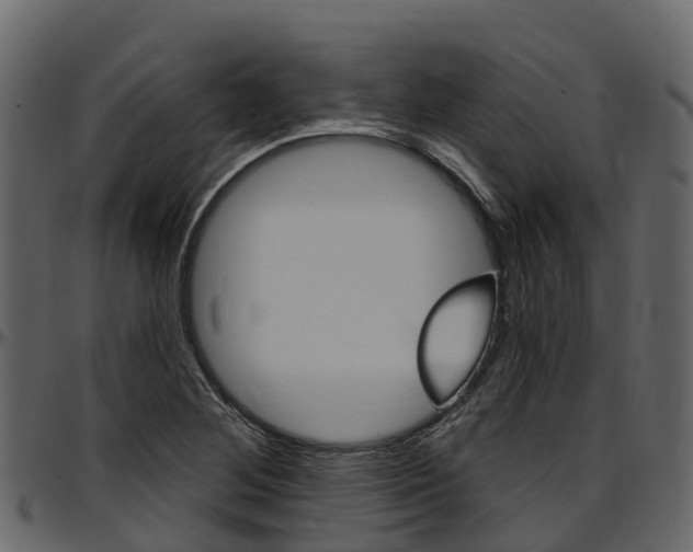 X0000097611268200802290747