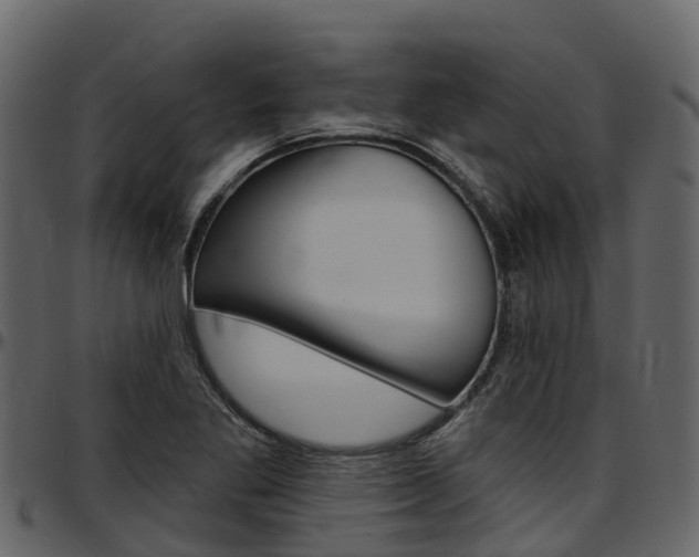 X0000097611269200802290747