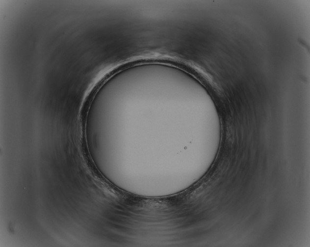 X0000097611270200802290747