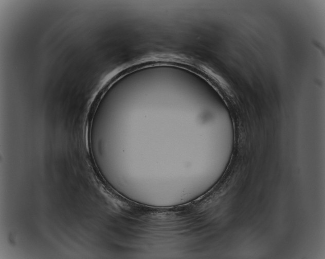 X0000097611272200802290747