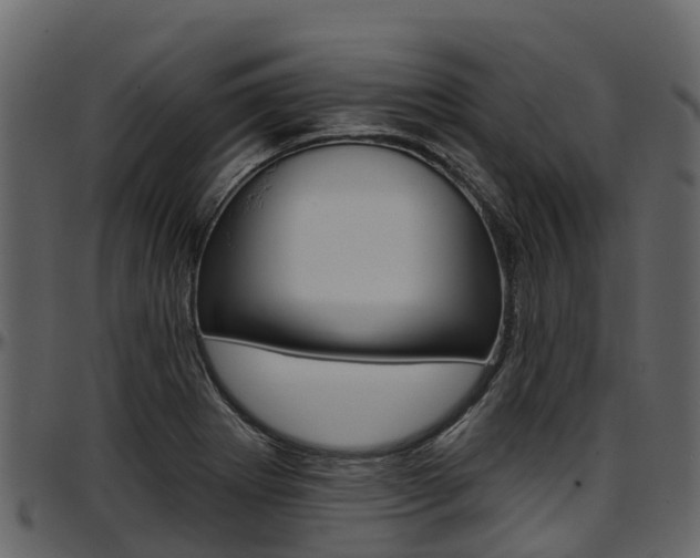 X0000097611273200802290747