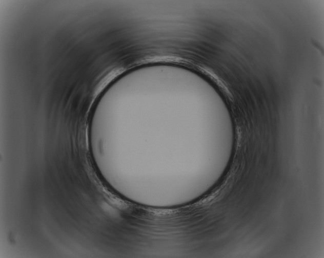 X0000097611274200802290747