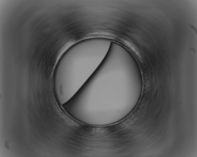 X0000097611275200802290747