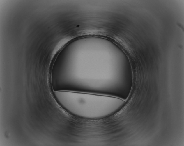 X0000097611277200802290747