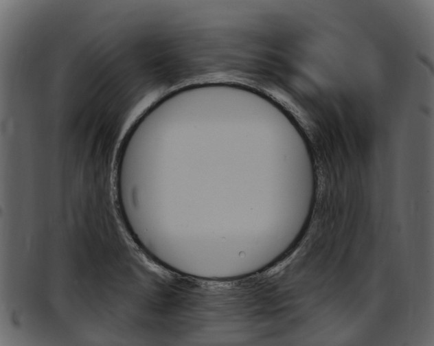 X0000097611278200802290747