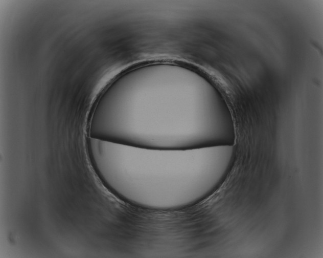 X0000097611279200802290747
