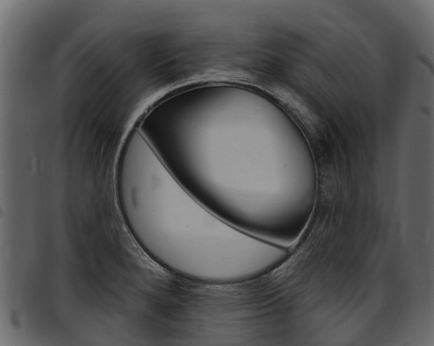 X0000097611280200802290747