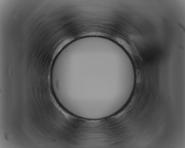 X0000097611282200802290747