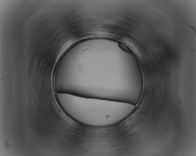 X0000097611283200802290747