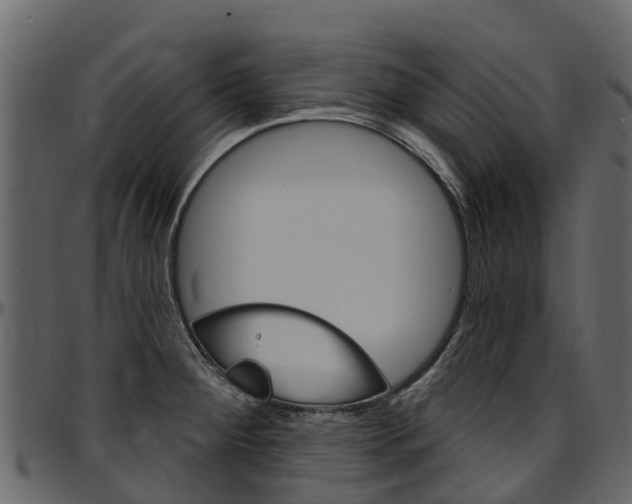 X0000097611284200802290747
