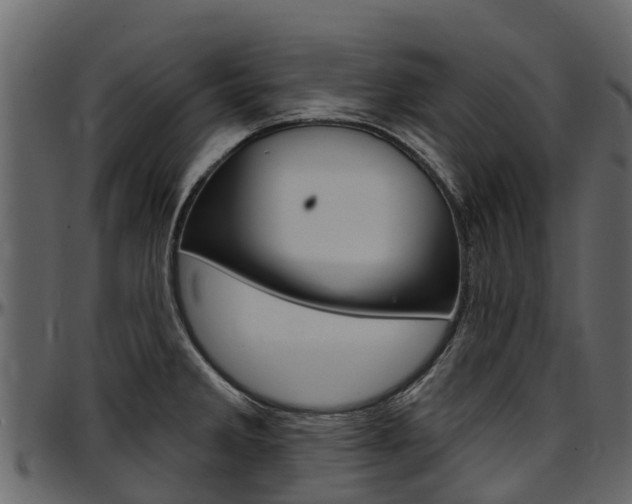 X0000097611285200802290747