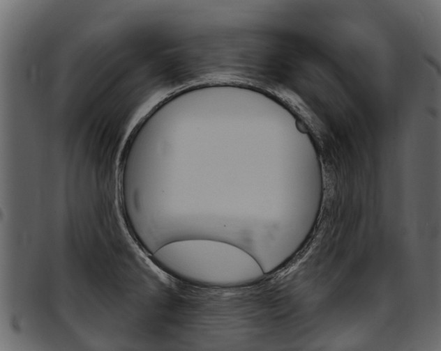 X0000097611286200802290747