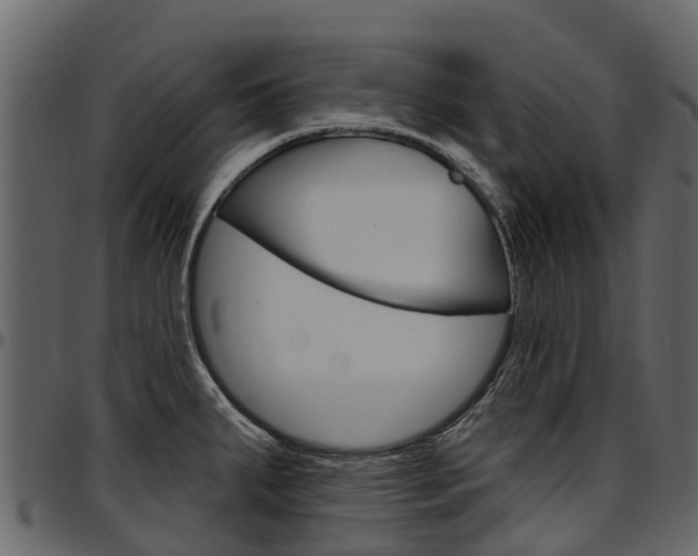 X0000097611287200802290747