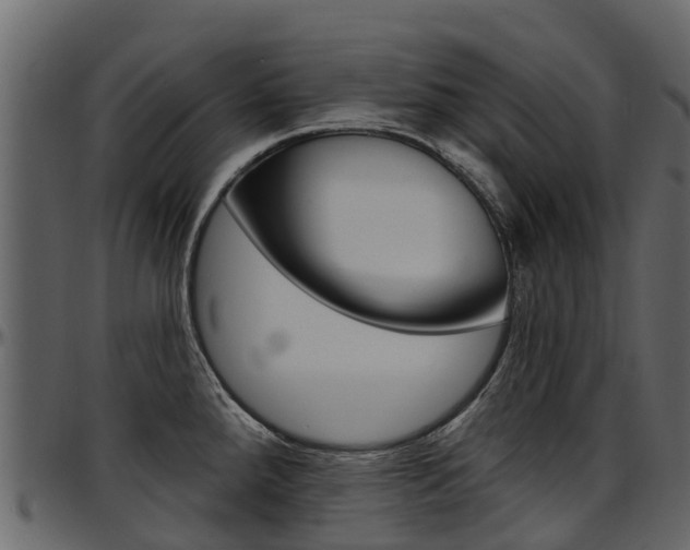 X0000097611288200802290747