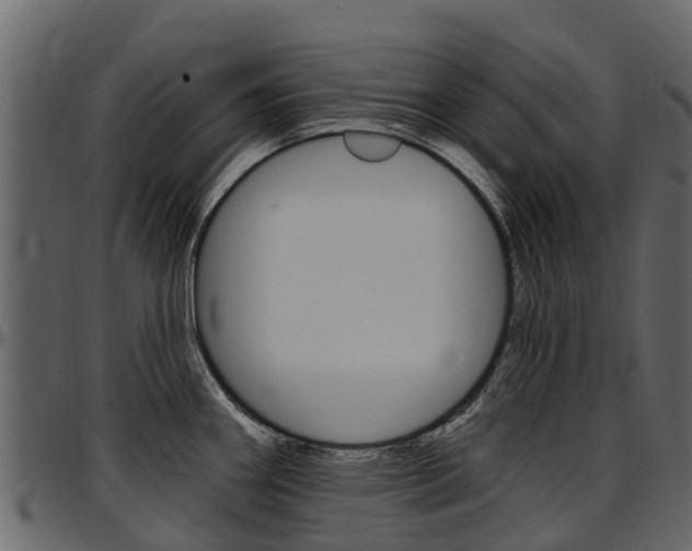 X0000097611290200802290747