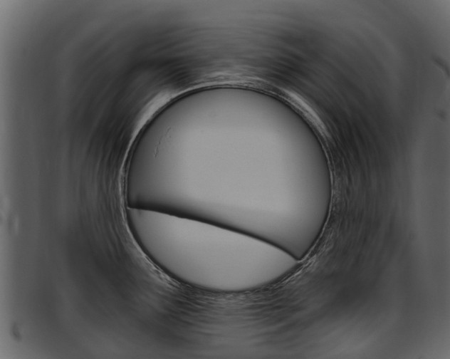 X0000097611291200802290747