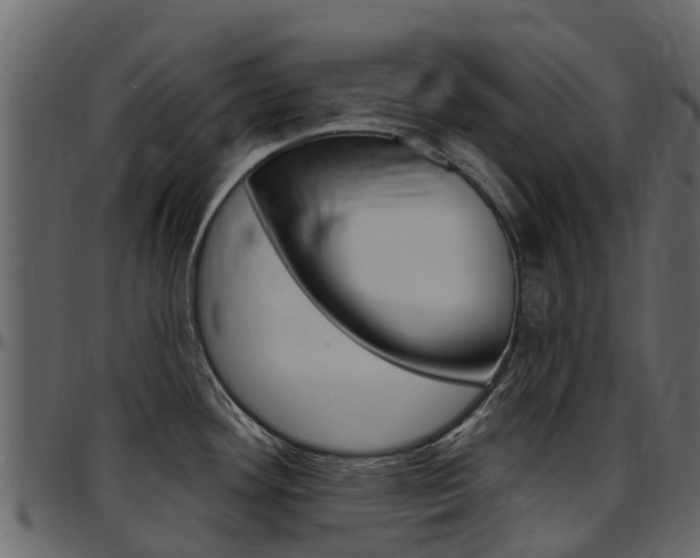 X0000097611292200802290747