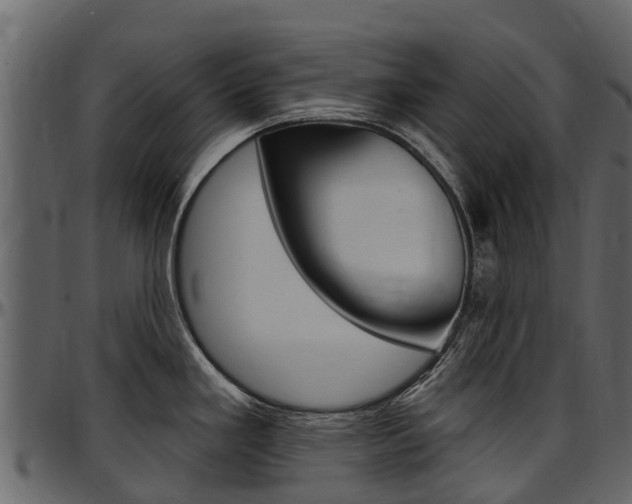 X0000097611293200802290747