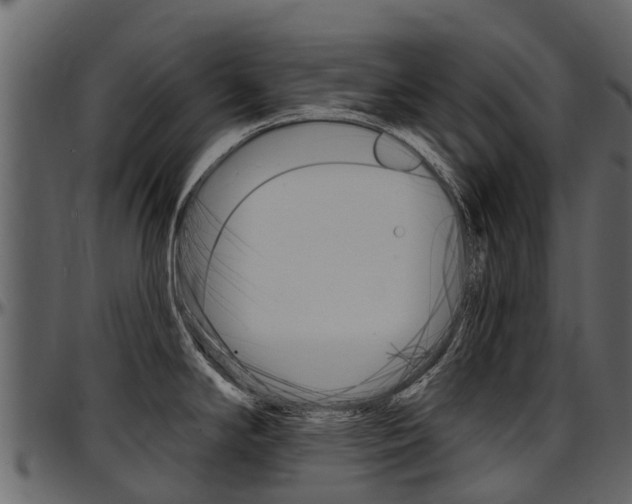 X0000097611294200802290747