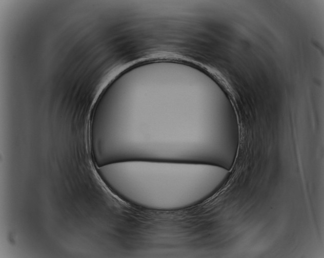 X0000097611295200802290747