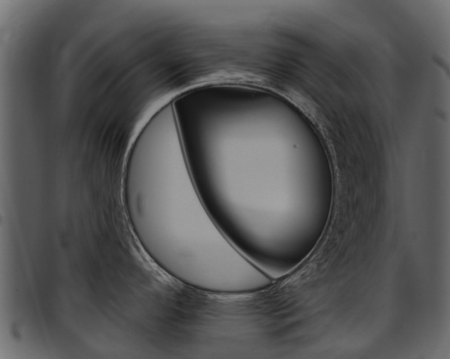 X0000097611296200802290747