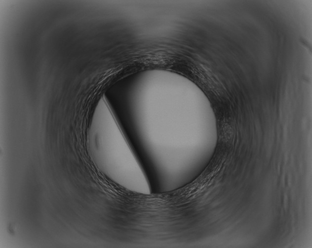 X0000097611297200802290746