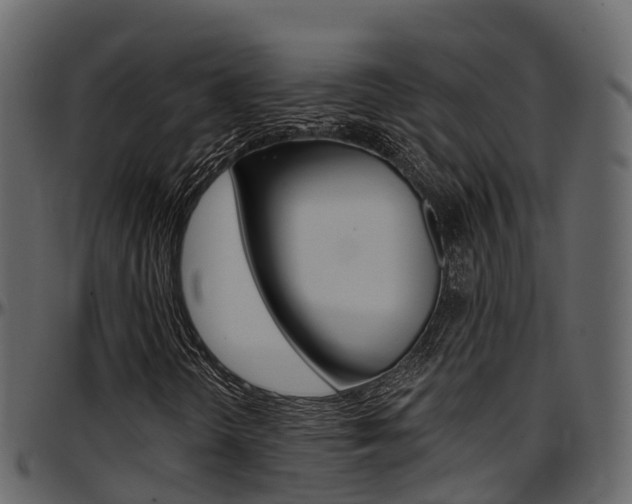 X0000097611298200802290746