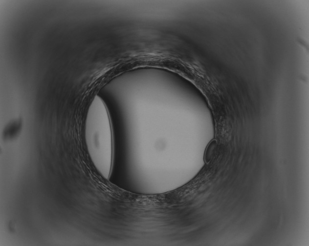 X0000097611301200802290746