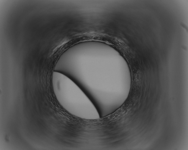 X0000097611302200802290746