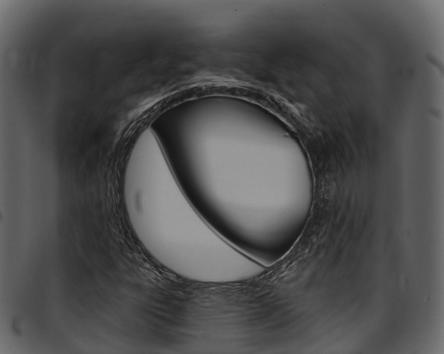 X0000097611303200802290746