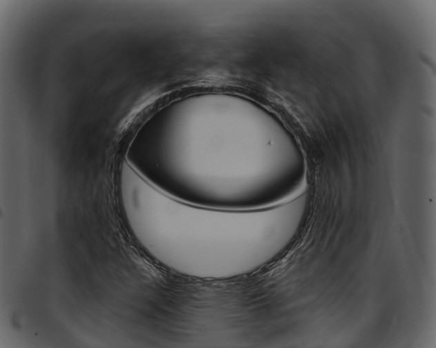 X0000097611304200802290746