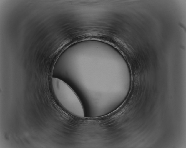 X0000097611305200802290746