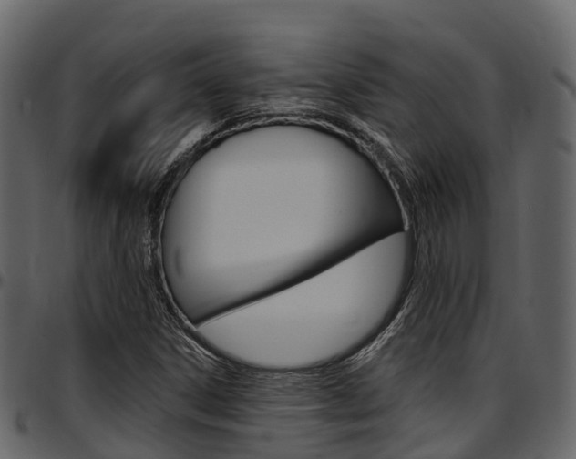 X0000097611306200802290746
