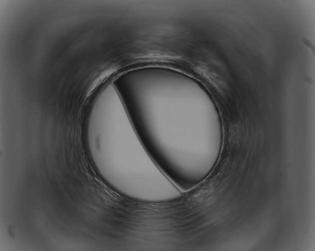 X0000097611307200802290746