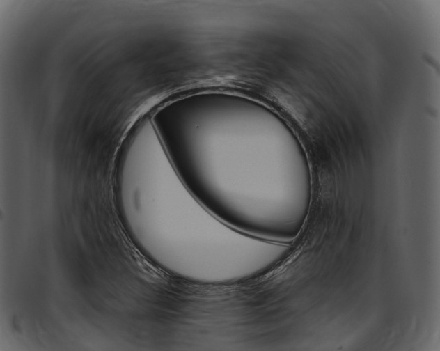 X0000097611308200802290746