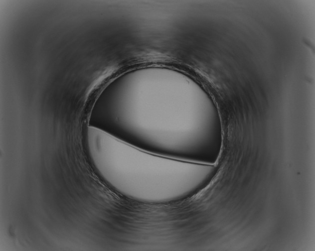X0000097611309200802290746