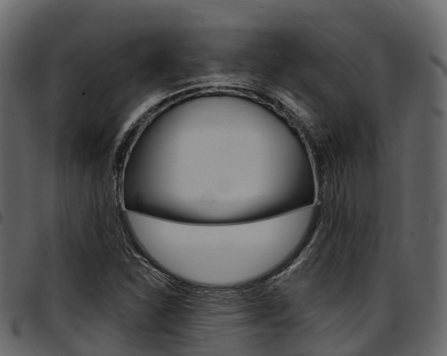 X0000097611310200802290746