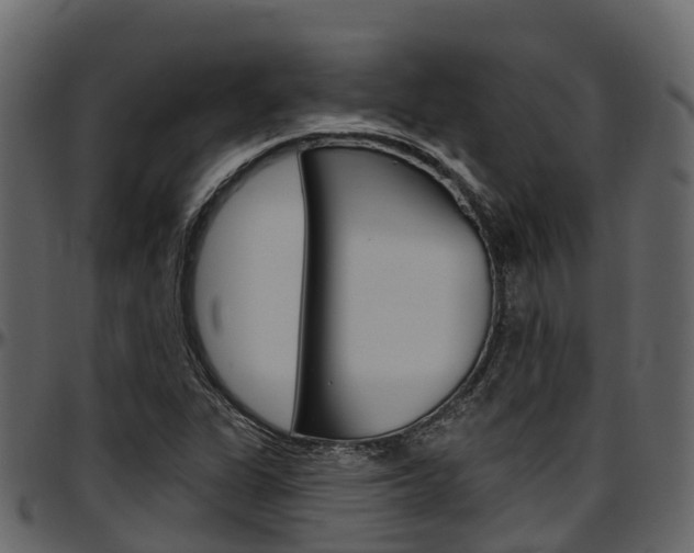 X0000097611311200802290746
