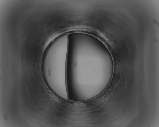 X0000097611312200802290746