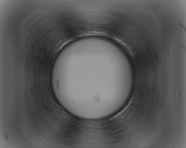 X0000097611313200802290746