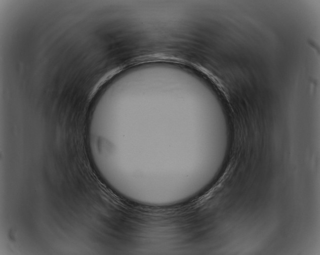 X0000097611314200802290746