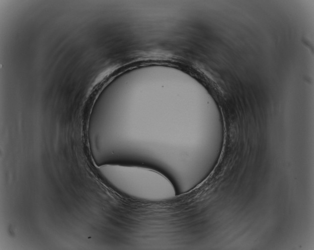 X0000097611315200802290746