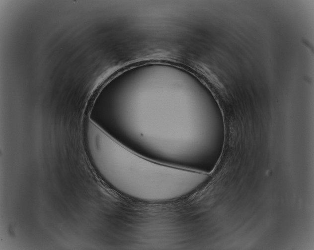 X0000097611316200802290746