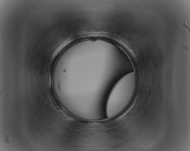 X0000097611317200802290746