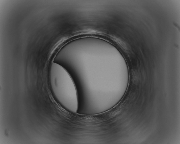 X0000097611318200802290746