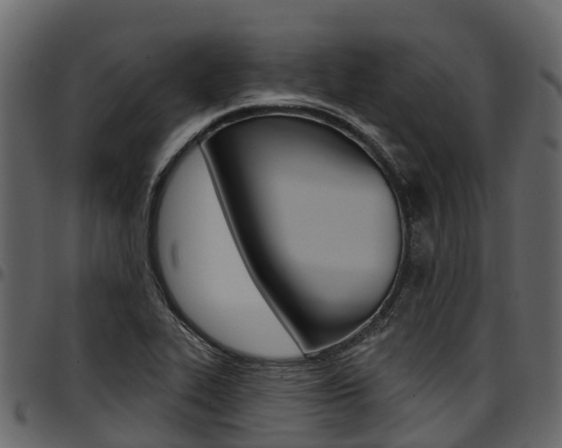 X0000097611319200802290746