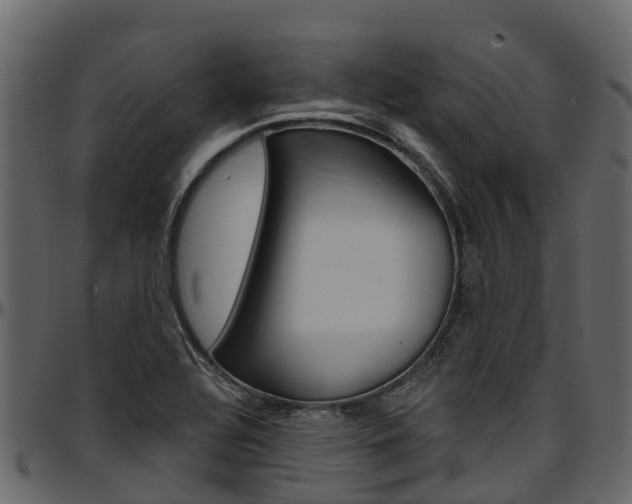 X0000097611320200802290746