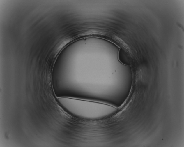 X0000097611321200802290746