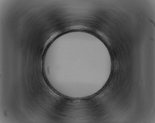 X0000097611322200802290746